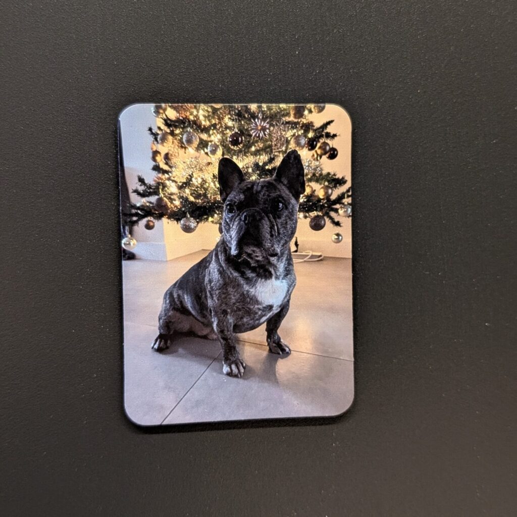 Gepersonaliseerde Fotomagneet met UV Print